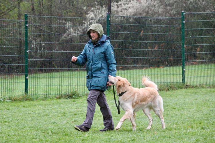 WhatsApp Image 2026-04-16 at 16.32.29 (1)