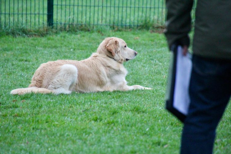 WhatsApp Image 2026-04-16 at 16.32.29 (3)