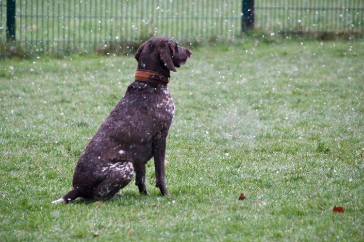 WhatsApp Image 2026-04-16 at 16.32.29 (4)