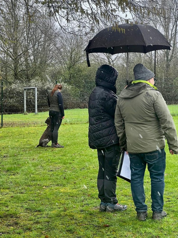 WhatsApp Image 2026-04-16 at 16.32.29