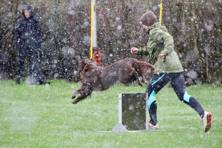 WhatsApp Image 2026-04-16 at 16.39.27 (10)