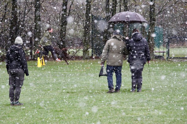 WhatsApp Image 2026-04-16 at 16.39.27 (3)