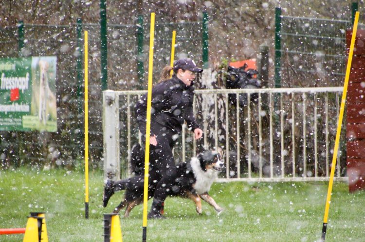 WhatsApp Image 2026-04-16 at 16.39.27 (4)