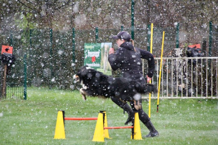 WhatsApp Image 2026-04-16 at 16.39.27 (5)