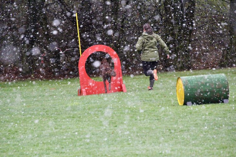 WhatsApp Image 2026-04-16 at 16.39.27 (6)