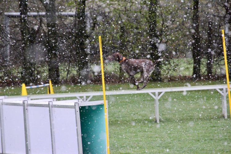 WhatsApp Image 2026-04-16 at 16.39.27 (7)