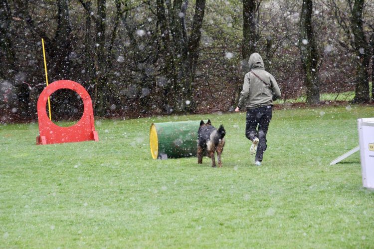 WhatsApp Image 2026-04-16 at 16.39.27 (8)