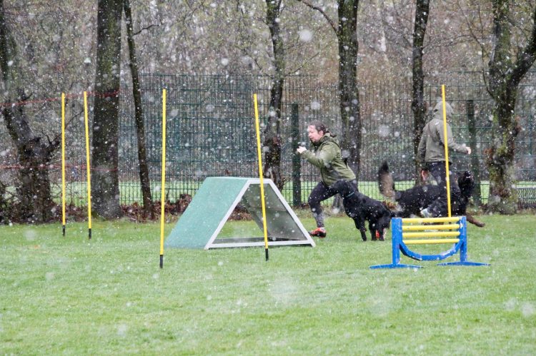 WhatsApp Image 2026-04-16 at 16.39.27 (9)