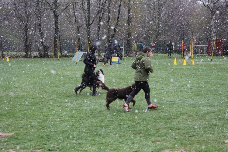 WhatsApp Image 2026-04-16 at 16.39.27