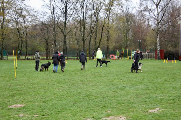 WhatsApp Image 2026-04-16 at 16.41.48 (2)