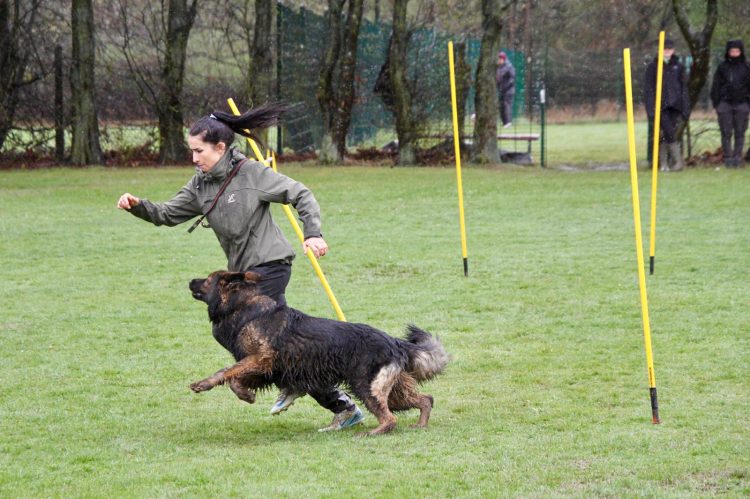 WhatsApp Image 2026-04-16 at 16.41.48 (4)