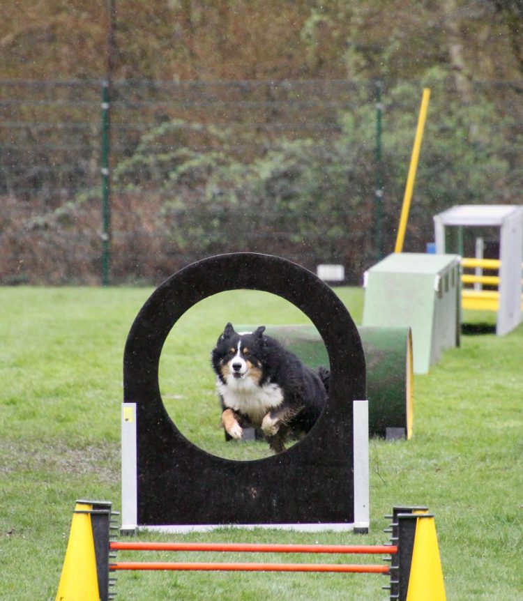 WhatsApp Image 2026-04-16 at 16.41.48 (8)