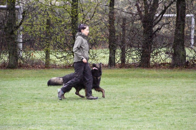 WhatsApp Image 2026-04-16 at 16.41.48