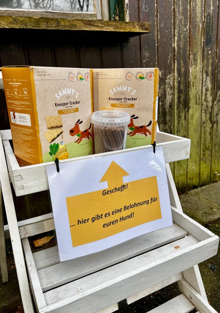 WhatsApp Image 2026-04-16 at 16.43.45