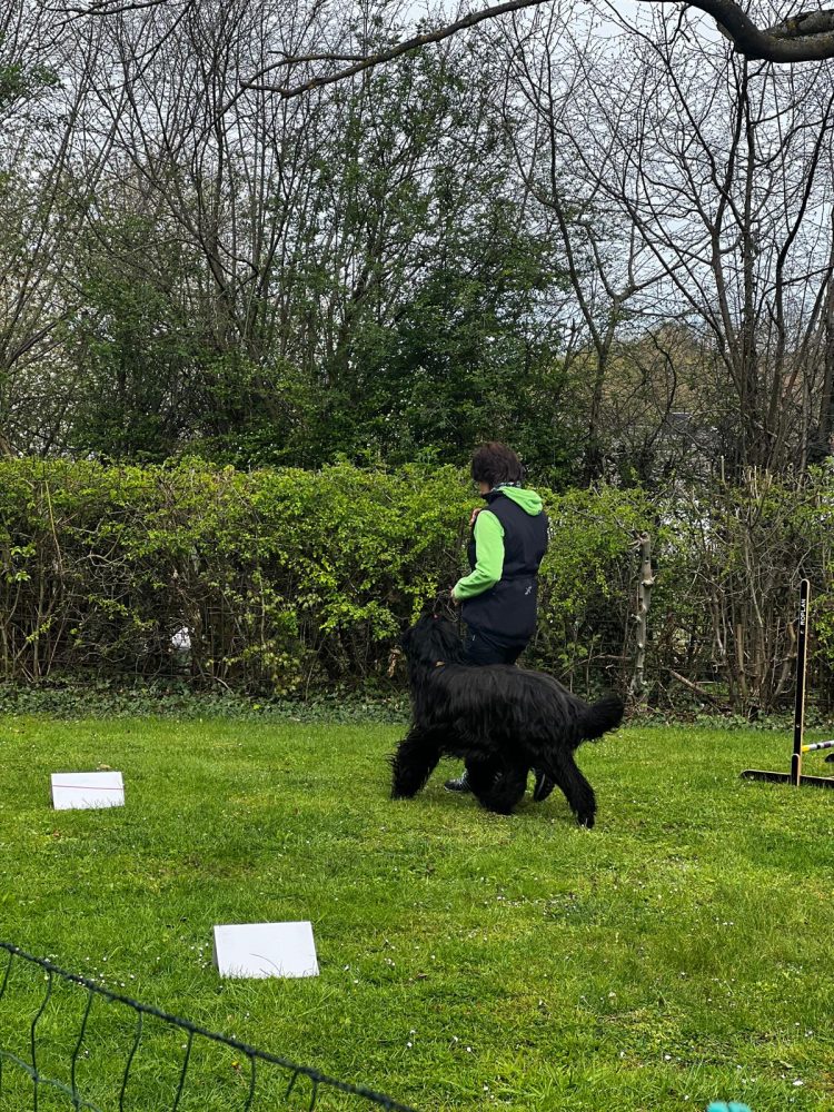 WhatsApp Image 2026-04-16 at 16.43.46 (2)