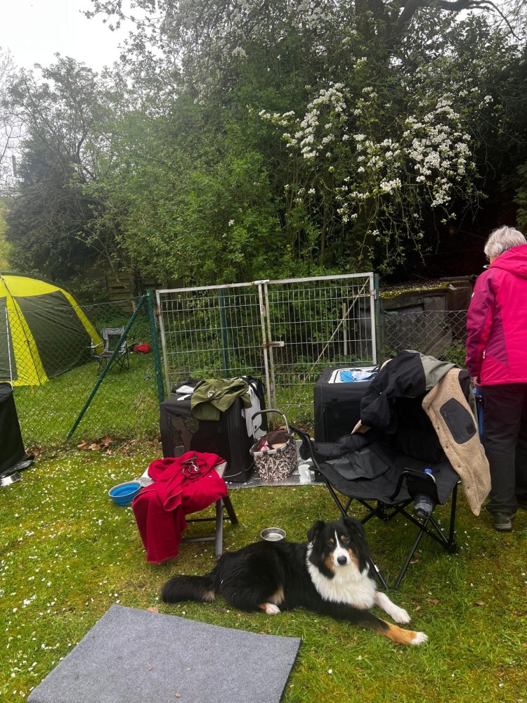 WhatsApp Image 2026-04-16 at 16.43.46 (3)