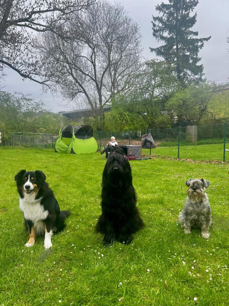 WhatsApp Image 2026-04-16 at 16.43.46 (4)