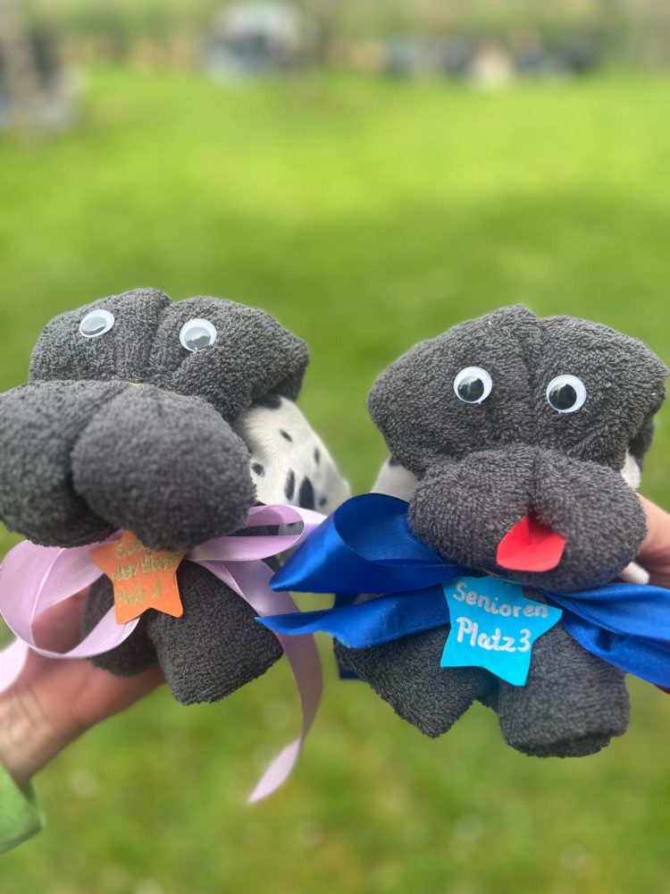 WhatsApp Image 2026-04-16 at 16.43.46 (6)