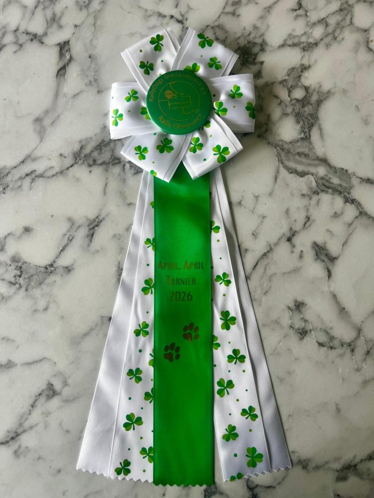 WhatsApp Image 2026-04-16 at 16.43.46 (7)