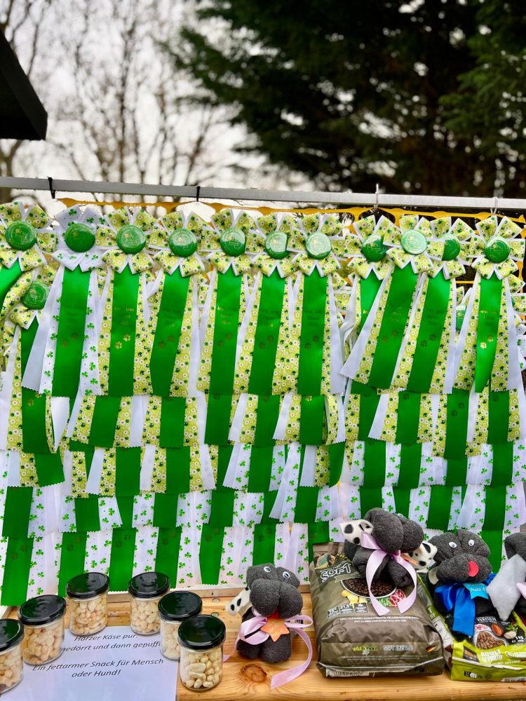 WhatsApp Image 2026-04-16 at 16.43.46