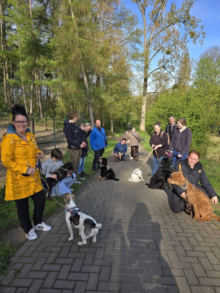 WhatsApp Image 2026-04-19 at 12.18.20