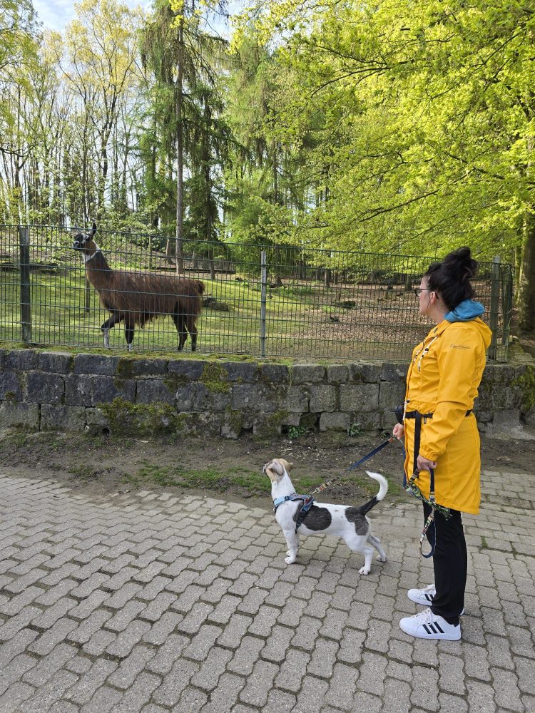 WhatsApp Image 2026-04-19 at 12.18.21 (1)