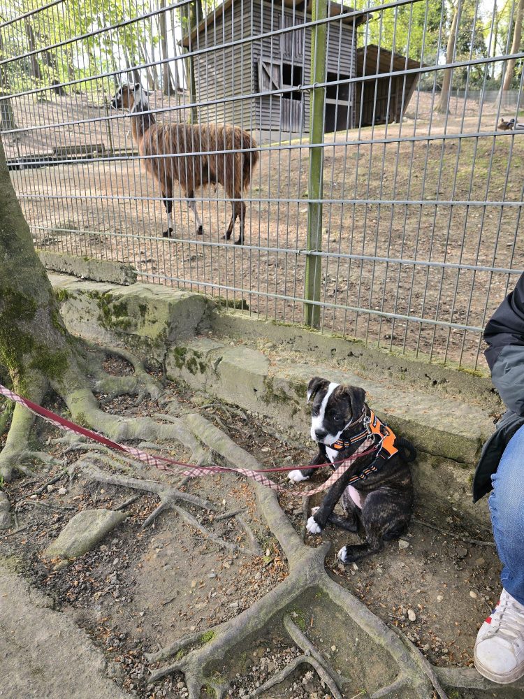 WhatsApp Image 2026-04-19 at 12.18.21 (2)