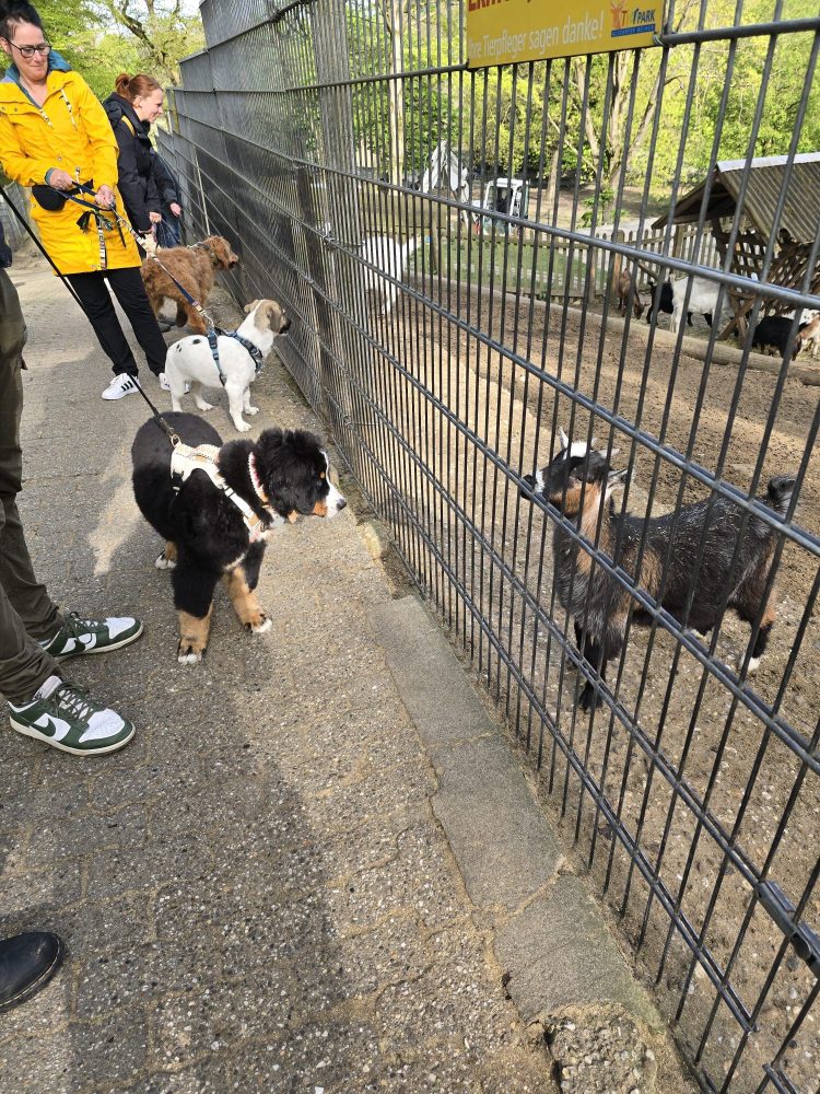 WhatsApp Image 2026-04-19 at 12.18.21 (3)