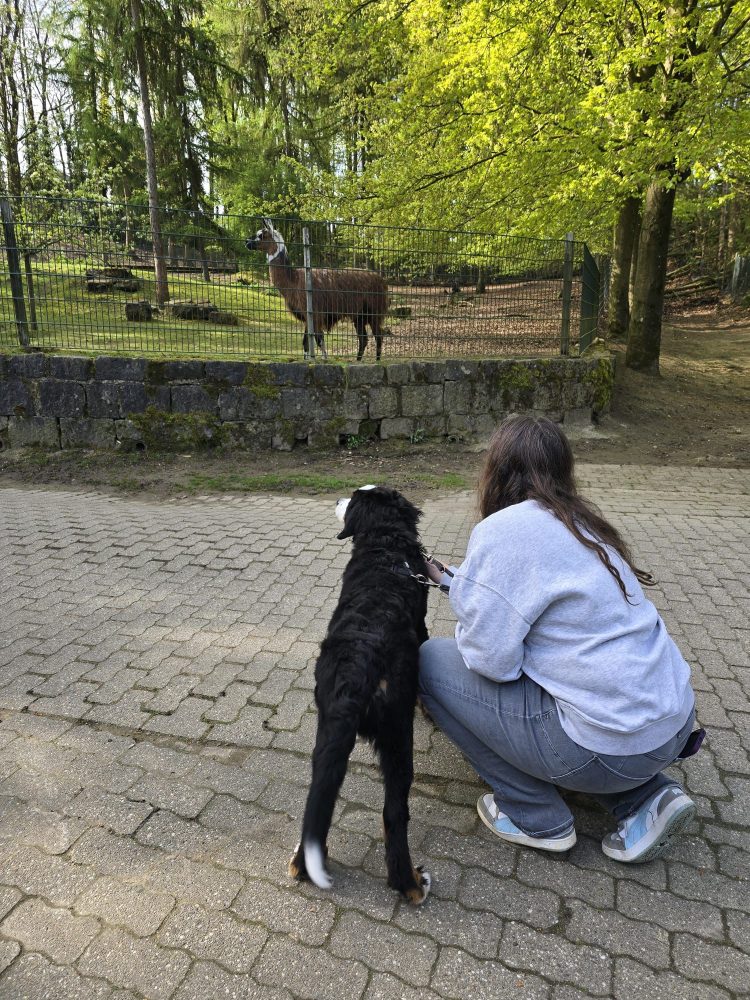 WhatsApp Image 2026-04-19 at 12.18.21